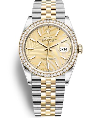126283 CHAMP PALM JUB