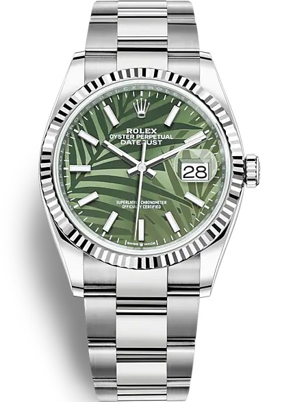126234 OLIVE PALM OYS