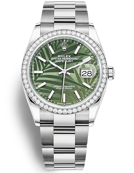 126284RBR OLIVE PALM OYS