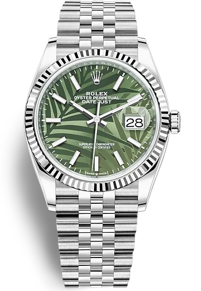 126234 OLIVE PALM JUB
