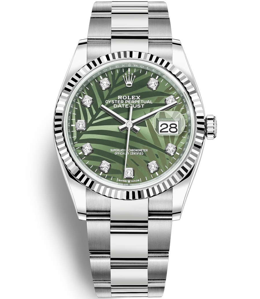 126234G OLIVE PALM OYS